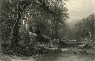 De Adirondack-bossen, 1874
