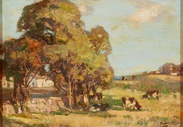 Vee grazend in een pastorale landschap