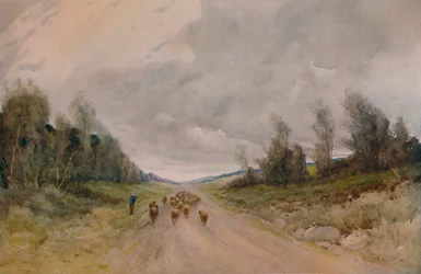 Op een weg in Northumberland