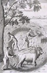 De manier van het uitstampen van hun rijst, uit Een Historische Relatie van het Eiland Ceylon, uitgegeven 1681 gravure