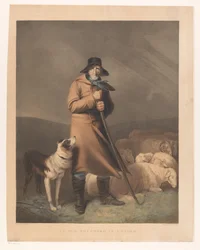 Herder met zijn hond en schapen