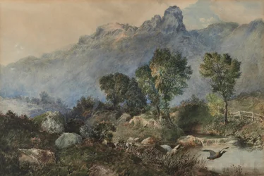 Landschap met Wilde Eenden