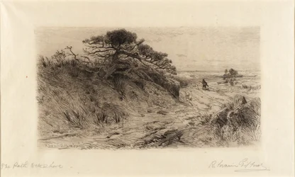 Het pad naar de kust