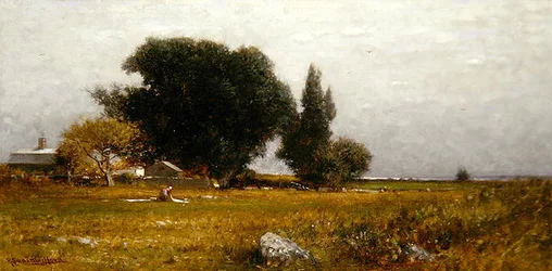 Bomen en weide