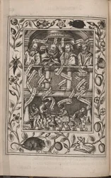 Theatrum chemicum Britannicum