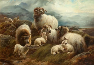Schapen in een landschap, 1894