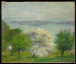 Appelbloesem, 1903
