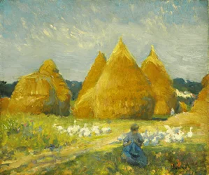 Ganzen verzamelen