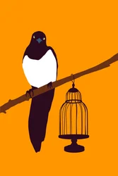 Tuinvariëteit Ekster, 2022