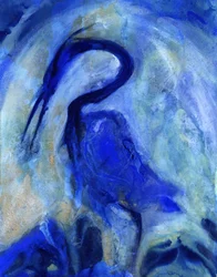 Elegante blauwe reiger