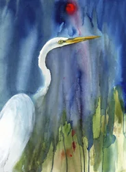 Sierlijke zilverreiger in het Blauwe Moeras