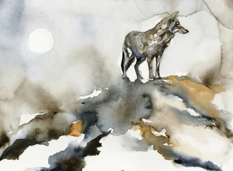 De Maan van de Eenzame Wolf