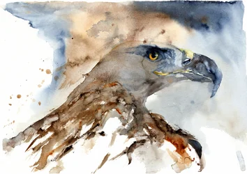 Majestueuze adelaar in aquarel