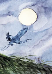 Vlucht van reigers bij maanlicht