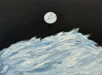 Golven in de maanverlichte oceaan