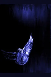 De vlucht van de mystieke blauwe uil