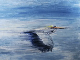 Serene vogelvlucht