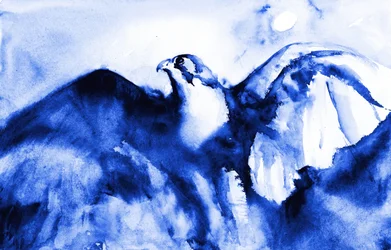 De hoogvliegende blauwe valk