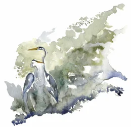 Twee reigers bij een rustige vijver