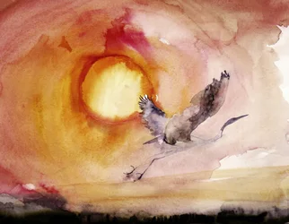 Levendige vogel bij zonsondergang