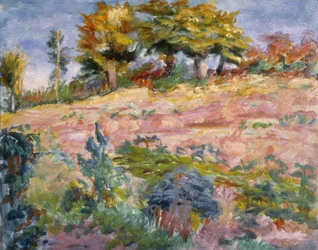 Landschap