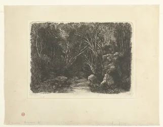 Boslandschap met Beek en Overhangende Bomen