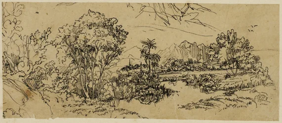 Landschap aan de westkust
