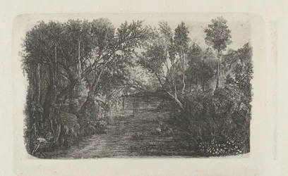 Landschap met beek en bomen op oevers