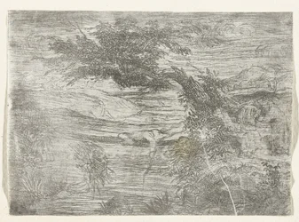 Landschap met visser