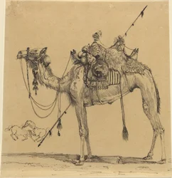 De Kameel