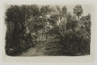 De kreek