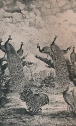 De Pauwen, 1869, 1946