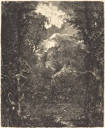 De steden achter het moeras