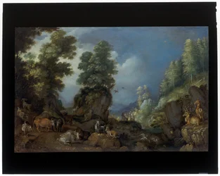 Een rotsachtig landschap met dieren