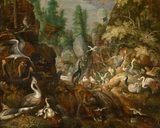 Vogelparadijs