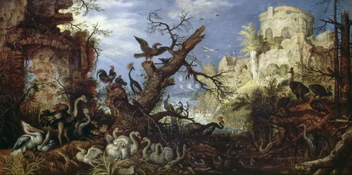 Landschap met vogels