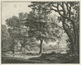 Herten in het Haagse Bos