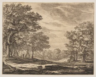 Plaat 5, uit Zes gezichten in het Haagse bos