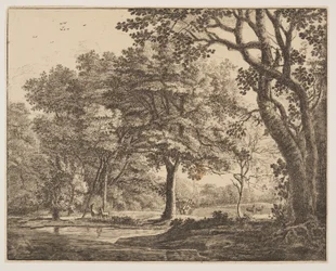 Plaat. 6, uit Six Views in the Wood of The Hague