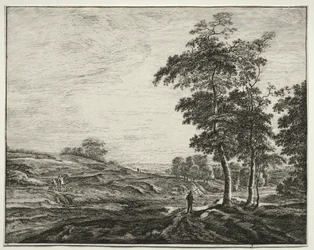 Zes uitzichten in het bos van Den Haag: boer gezien van achteren