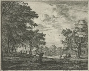 Wandelaar in het Haagse Bos