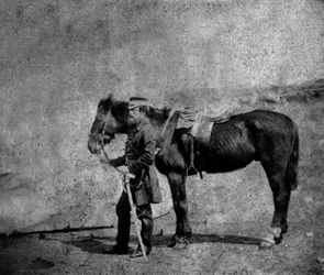 Kapitein Arthur Layard, 1855