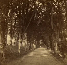 De donkere wandeling; Stonyhurst