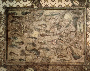 Romeinse kunst: mozaïek van vissen