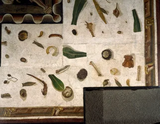 “Asarotos” (Ongeveegde vloer) Fragmenten van mozaïek gesigneerd door Harakliton uit Rome, 2e eeuw na Christus
