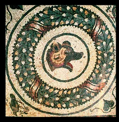 Berenkop, Romeins mozaïek, begin 4e eeuw