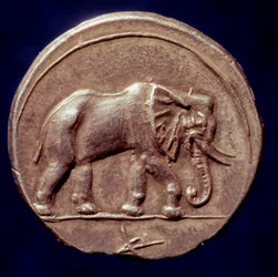 Carthaagse beschaving: medaille die een olifant voorstelt die de Carthaagse generaal Hannibal (247-183 v.Chr.) toestond de Alpen over te steken in 218 v.Chr. tijdens de Tweede Punische Oorlog. 3e eeuw v.Chr. Parijs, B.N.