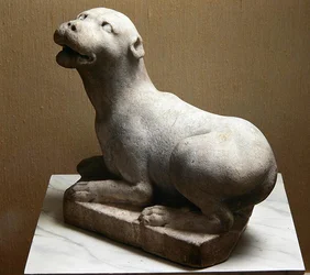 Cave Canem, Pas op voor de Hond