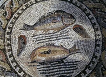 Vissen, mozaïek in de Romeinse stad Volubilis (Werelderfgoedlijst van UNESCO)