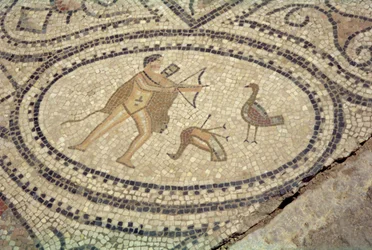 Hercules en de Stymphalische Vogels, van de vloer van 